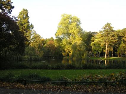 Het Wilhelminapark in Utrecht, een voorbeeld van een Engelse tuin. © Victor van Werkhooven